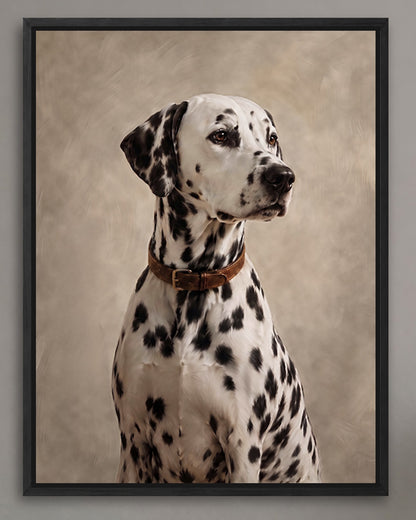 A Dalmatian dog with a brown collar is sitting in a black frame against a beige background.
